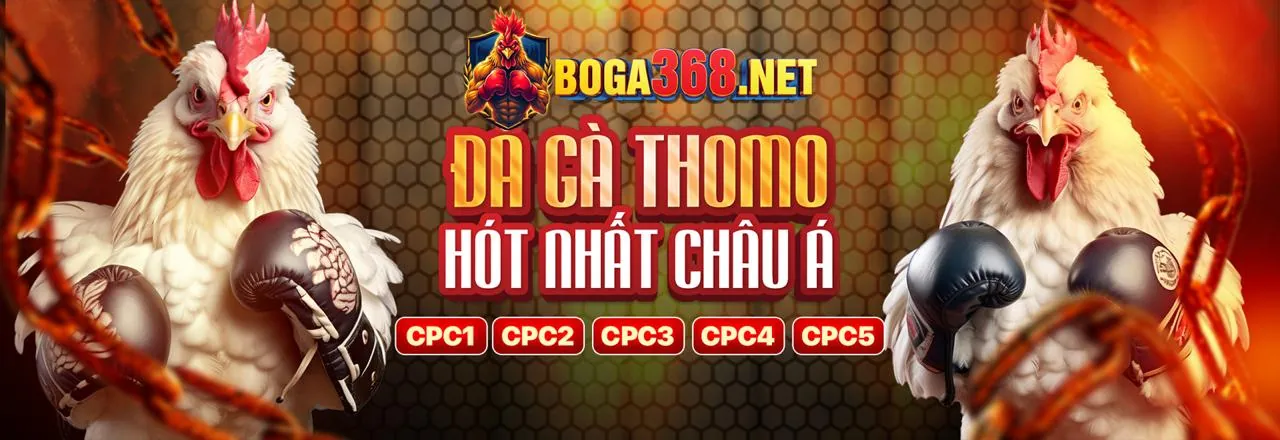 Chương Trình VIP tk88bet khuyến mãi
