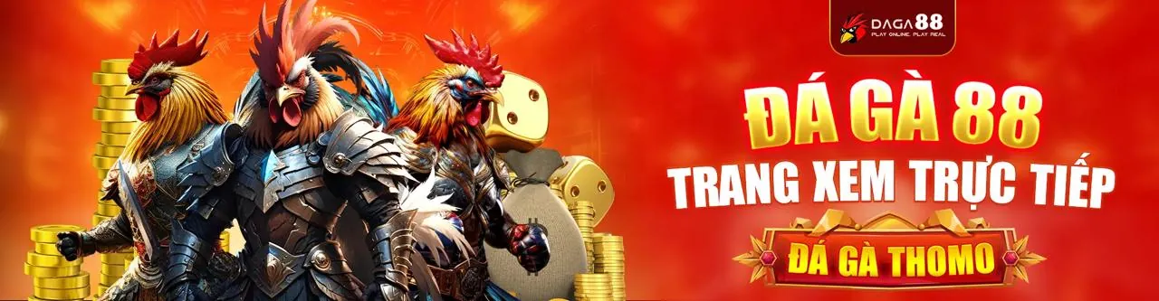 Hình ảnh đá gà trực tuyến kịch tính tại tk88bet khuyến mãi